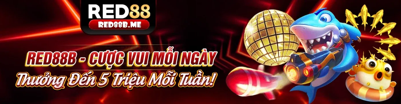 Hướng dẫn khám phá ứng dụng OKVIP